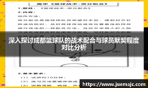 深入探讨成都篮球队的战术配合与球员默契程度对比分析