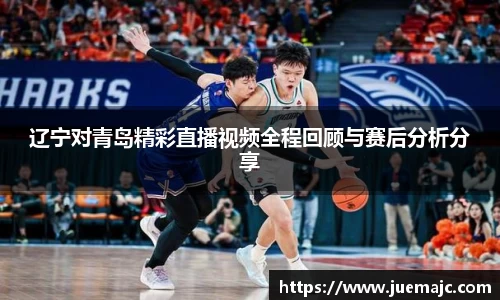 辽宁对青岛精彩直播视频全程回顾与赛后分析分享
